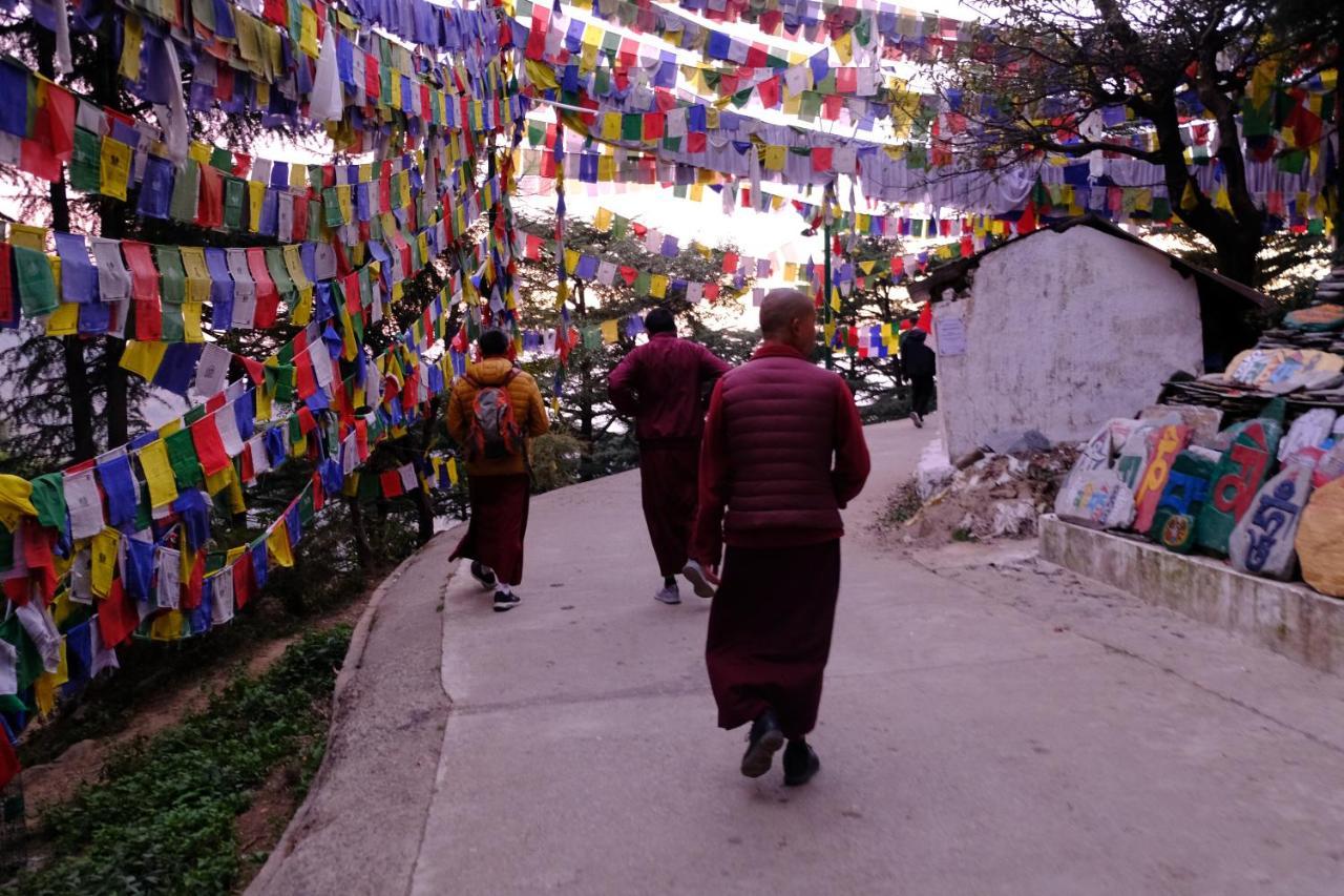 Mitra Mcleodganj Vandrehjem McLeod Ganj Eksteriør billede