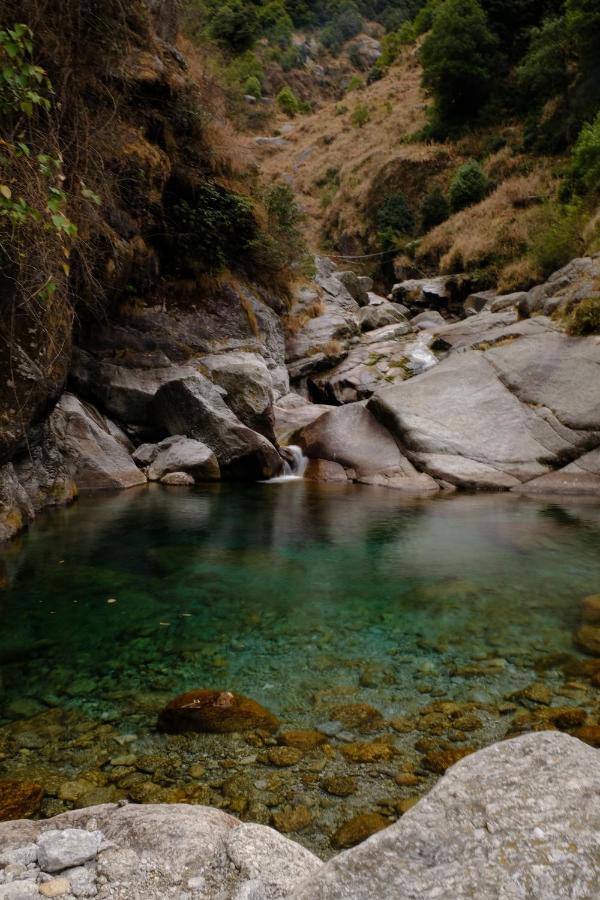 Mitra Mcleodganj Vandrehjem McLeod Ganj Eksteriør billede
