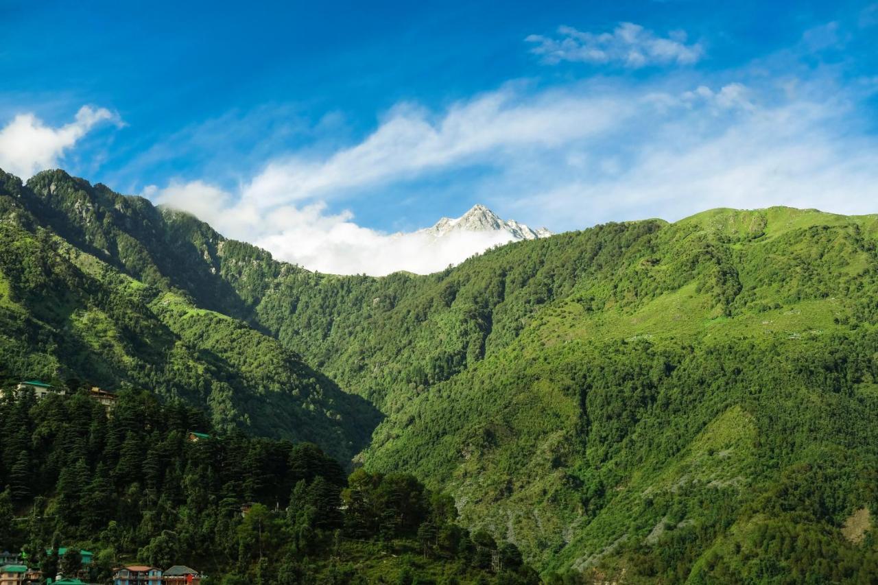 Mitra Mcleodganj Vandrehjem McLeod Ganj Eksteriør billede